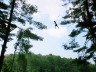 Justus on the first section of the ropes course, the \'spider walk\'
