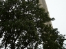 The San Jacinto Monument