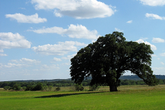 2010-06 Hill Country Vacation