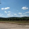 Fall Creek Vineyards