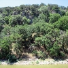 Vanishing Texas River Cruise