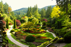 2012-07 Butchart Gardens